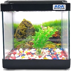Ada Akvaryum Mini Akvaryum Seti 20 x 20 x 15 CM