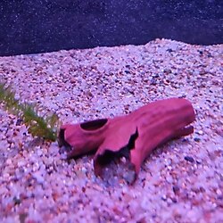 Ağaç Modelinde Akvaryum Aksesuarı