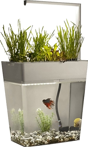 Aquagarden 9 Lt Kendi Kendini Temizleyen