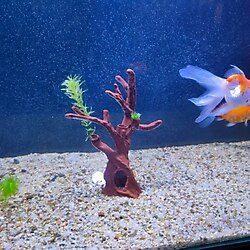 Dikili Ağaç Modelinde Akvaryum Aksesuarı