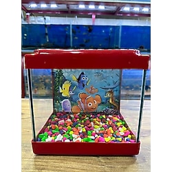 Ertargın Shop Kırmızı Renkli Mini Kare Akvaryum 20X20X15