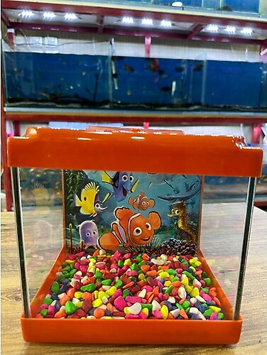 Ertargın Shop Turuncu Kare Mini Akvaryum 20X20X15