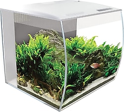 Fluval Flex 34 lt LED Akvaryum - Beyaz