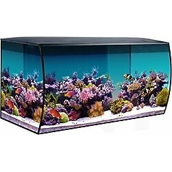 Fluval Flex Deniz Akvaryumu Siyah 123 Lt
