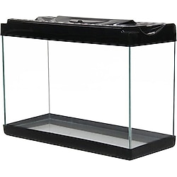 Girist Pet Renkli Kapak Mini Akvaryum 35 cm Siyah