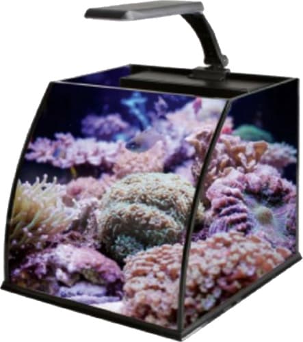 Haqos Belly Box 31x31x24cm 30 Ledli Sumplu Nano