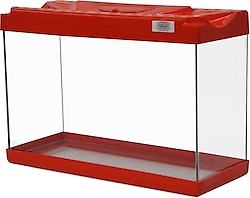 Kanki Pet KP3018 30 cm Renkli Kapak Mini Akvaryum - Kırmızı