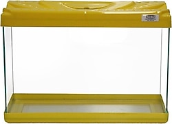 Kanki Pet KP3018 30 cm Renkli Kapak Mini Akvaryum - Sarı