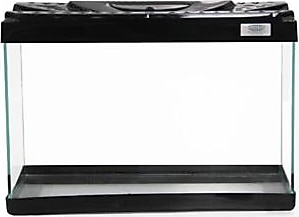 Kanki Pet KP3018 30 cm Renkli Kapak Mini Akvaryum - Siyah