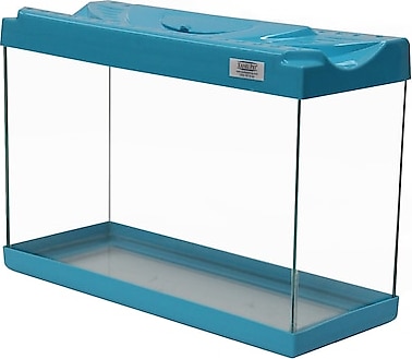 Kanki Pet Kp3018 30 Cm Renkli Kapak Mini Turkuaz