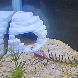 Mağara Modelinde Akvaryum Aksesuarı