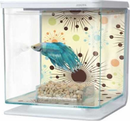 Marina Beta Başlangıç Seti Havai Fişek