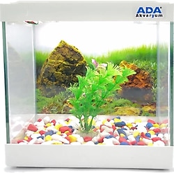 Mini Akvaryum Beyaz 20X20x15 Akvaryum Renkli Cakil Plastik Bitki Arka Fon