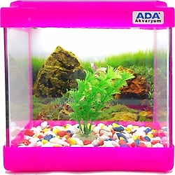 Mini Akvaryum Pembe 20X20x15 Akvaryum Renkli Cakil Plastik Bitki Arka Fon
