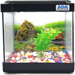 Mini Akvaryum Siyah 20X20x15 Akvaryum Renkli Cakil Plastik Bitki Arka Fon