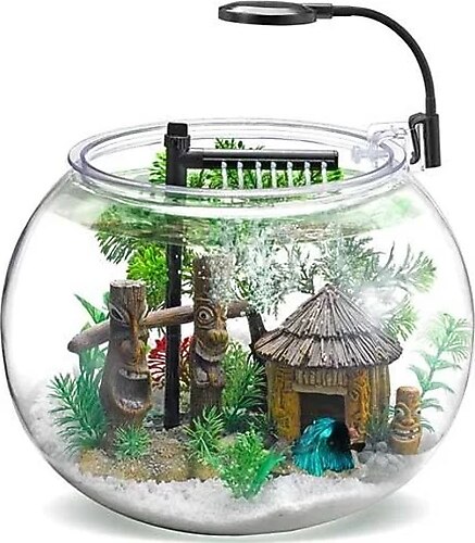 Nubios Masasüstü Beta Seti 12 L Faunus