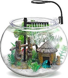 Nubios Masaüstü Fanus Beta Akvaryum Seti 12 Lt