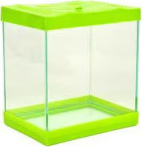 PatiPera Betatank akvaryum Boyut: (Yaklaşık) 20 x 15 x 15 cm