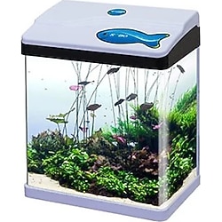 Sobo Komple Akvaryum 28,5 x 19 x 34 cm Beyaz