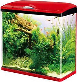 Sobo Komple Akvaryum 39x19x44 Cm Kırmızı