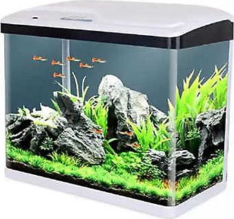 Sobo Komple Akvaryum Beyaz 39x19x44 cm