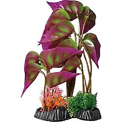 Zampa Yapay Akvaryum Bitkisi 20 Cm